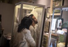 Museum of Surrey opens submissions for Community Treasures exhibitions series