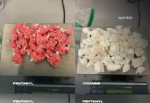 South Asian on study permit arrested after large drug seizure by CFSEU-BC in Surrey