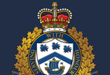 Individual apprehended under Mental Health Act in BC Ferries terminal incident, say West Vancouver Police