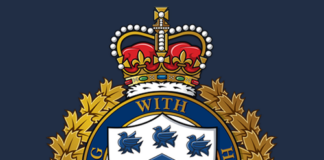 Individual apprehended under Mental Health Act in BC Ferries terminal incident, say West Vancouver Police