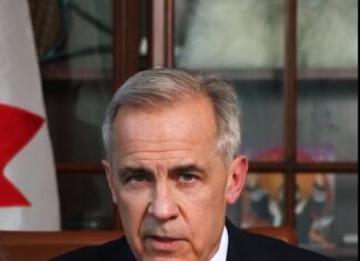 Liberal lead holds steady as political mood stabilizes: Abacus Data