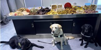 CBSA seizes 45 kg of meat, and plant and dairy products from Bangladesh