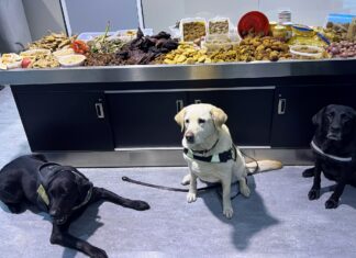 CBSA seizes 45 kg of meat, and plant and dairy products from Bangladesh