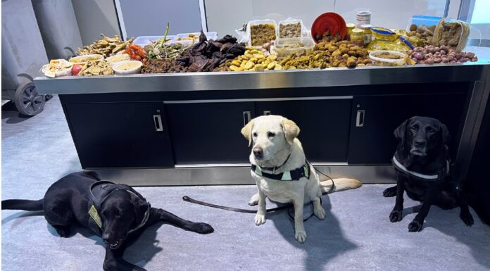 CBSA seizes 45 kg of meat, and plant and dairy products from Bangladesh