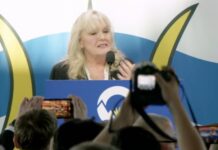 Kerry-Lynne Findlay is the next leader of BC Conservatives (updates to continue)