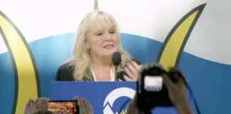 Kerry-Lynne Findlay is the next leader of BC Conservatives (updates to continue)