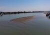 Urgent need for coordinated strategy, funding for dredging Delta’s secondary channels