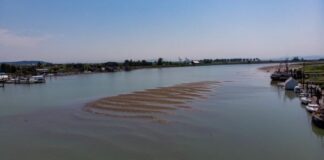 Urgent need for coordinated strategy, funding for dredging Delta’s secondary channels