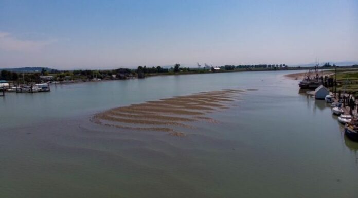 Urgent need for coordinated strategy, funding for dredging Delta’s secondary channels