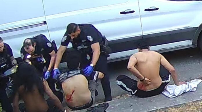2 arrested after fight at Surrey house sends 6 to hospital (with photos)