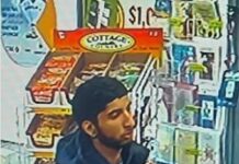 Newfoundland and Labrador RCMP seek public’s help to identify South Asian suspect
