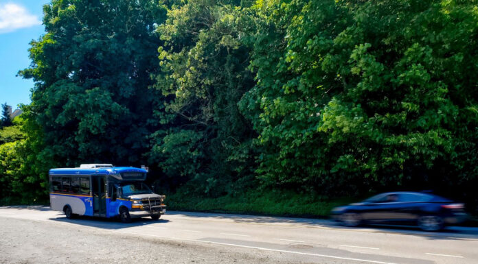 TransLink adds new summer bus routes to regional parks in Metro Vancouver