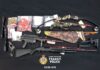 Surrey suspect arrested by Transit Police faces mulitple firearms related charges