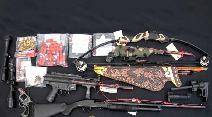 Surrey suspect arrested by Transit Police faces mulitple firearms related charges