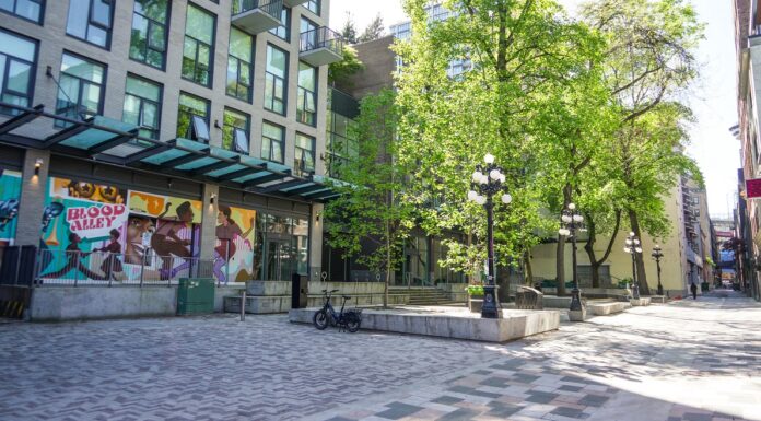 Trounce Alley upgrades complete revitalization of Blood Alley Square