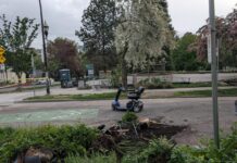 Victim in West End vehicle-ramming succumbs to injuries