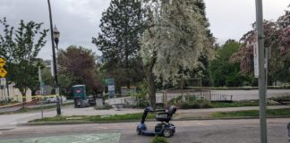 Victim in West End vehicle-ramming succumbs to injuries