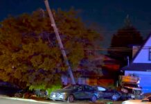 Male shot dead in Surrey just after midnight
