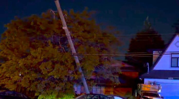 Male shot dead in Surrey just after midnight
