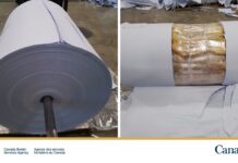 CBSA seizes more than half a tonne of opium concealed in paper shipment at Delta