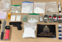 Drugs, weapons seized in Langley traffic stop