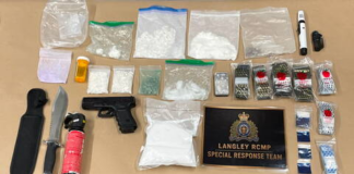 Drugs, weapons seized in Langley traffic stop