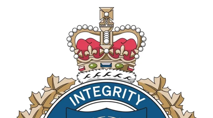Two men arrested and charged following mischief to crosswalk