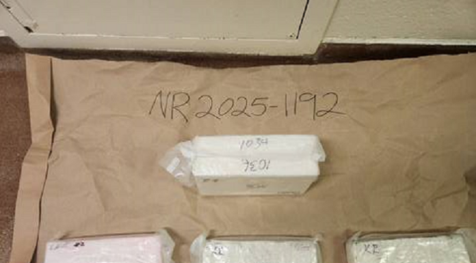 Basim Mansur of Surrey charged following seizure of cocaine in northern B.C.
