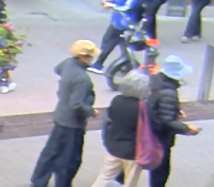VPD seeking witnesses following series of “blessing scams” targeting seniors
