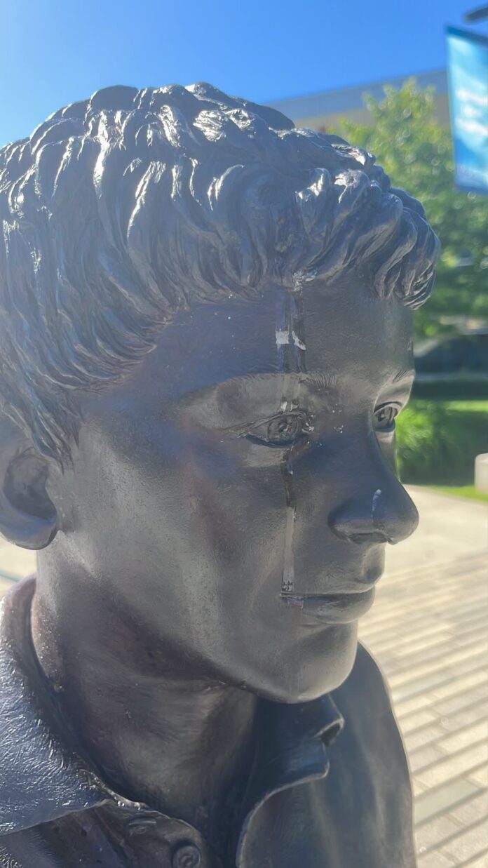 Terry Fox 2