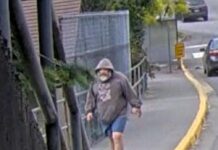 West Van Police release photo of suspect who assaulted female youth