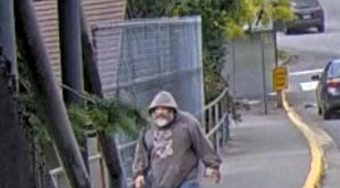 Man wanted in West Vancouver assault of youth arrested
