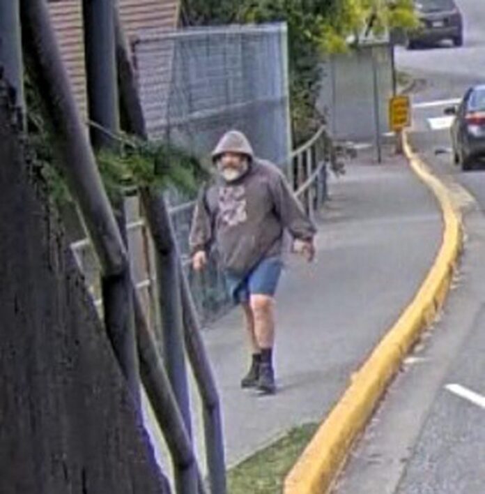 WEST VAN SUSPECT