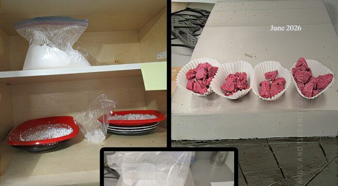 Three from Surrey charged following CFSEU-BC’s organized crime drug trafficking investigation