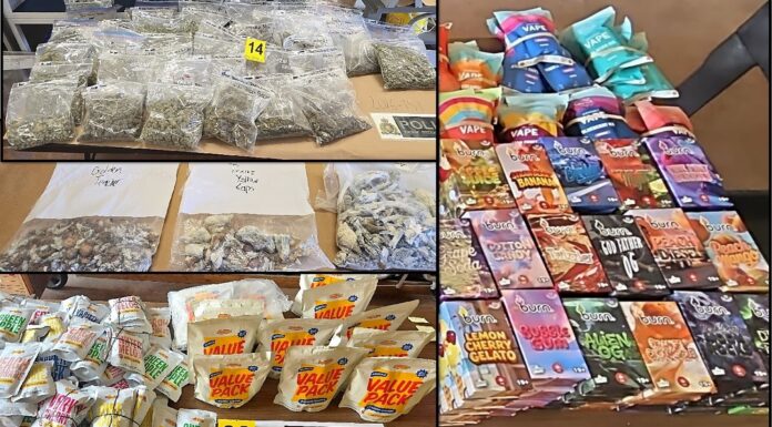 Mission RCMP target drug website reportedly selling to youth