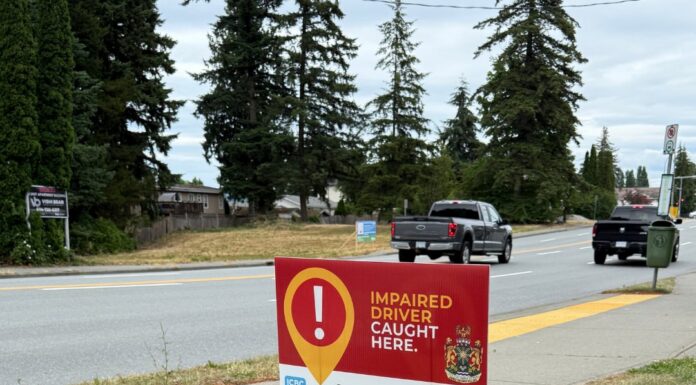 Abbotsford Police reintroduce visual campaign to combat impaired driving