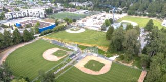 New baseball diamonds open in Delta’s Winskill Park