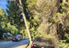 Port Moody Police investigating two serious collisions