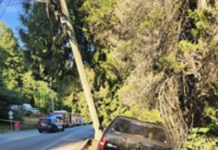 Port Moody Police investigating two serious collisions