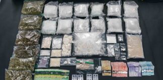 2 foreign nationals removed from Canada, another in custody in Surrey drug trafficking case