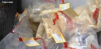 Halton Police arrest Sukhveer Birring of Brampton and Taleb Saleh of Mississauga, seize illicit drugs worth $5M