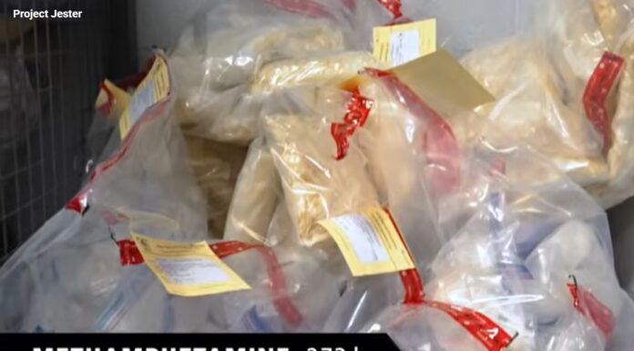 Halton Police arrest Sukhveer Birring of Brampton and Taleb Saleh of Mississauga, seize illicit drugs worth $5M