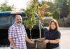 Surrey’s popular $20 tree sales return this summer