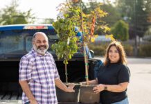 Surrey’s popular $20 tree sales return this summer