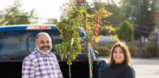 Surrey’s popular $20 tree sales return this summer