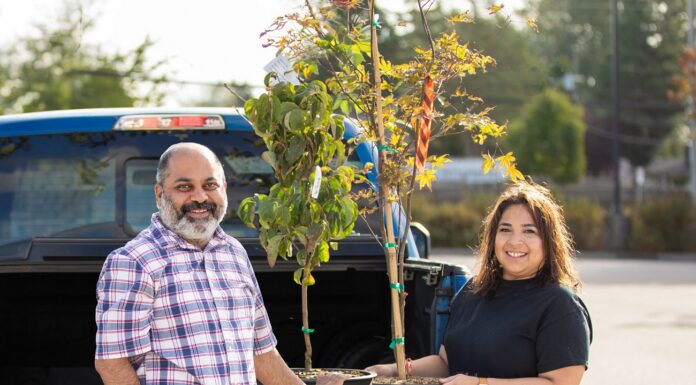 Surrey’s popular $20 tree sales return this summer