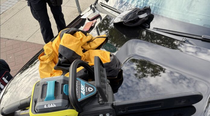 Chainsaw-wielding man charged in West End incident