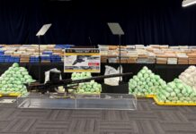 13 South Asians among 21 charged as police in Ontario seize almost 1.7 tonnes of illegal drugs
