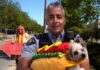 Keep pets out of parked vehicles this summer, urges Richmond RCMP