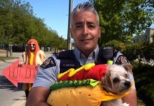 Keep pets out of parked vehicles this summer, urges Richmond RCMP